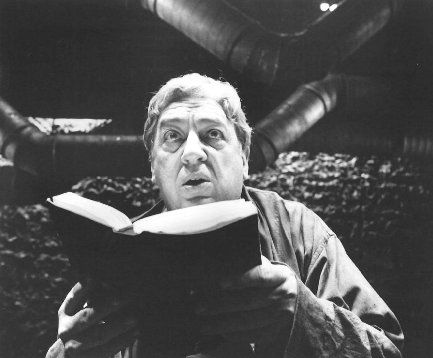 Una solitudine troppo rumorosa - Paolo Bonacelli